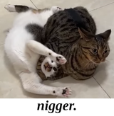 kotjutsu