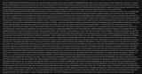 1730691995620706