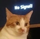 1728252601114759