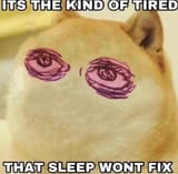 tired-doge
