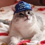 Thread 105999147 OP Image
