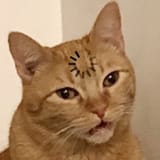 Thonking