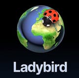 Ladybird-browser-1-3