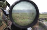 SVD-reticle