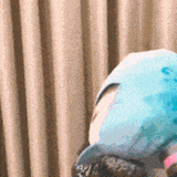hatsune-miku-vocaloid