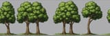 trees