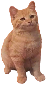 smugg