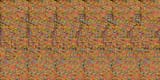 Shark random dot stereogram