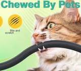 chewed by cat