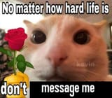 1734952802458360
