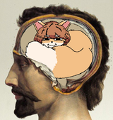 1742831235074277