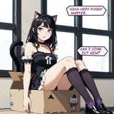 catboxnew