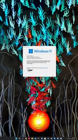 Screenshot 2025-07-25 184642