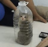 1593561402001