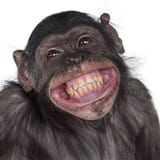 Happy-Monkey-NOW-meme-6