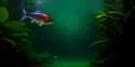 forest river fish_thumb.jpg