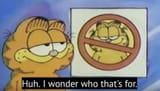 garfield huh i wonder who thats for