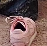1724285241387938