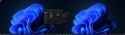 output_thumb.jpg