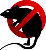 ratpoison