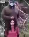 1669312082479950_thumb.jpg