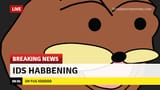 itshabbening