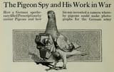 Fig-4-Pigeon-Spy-and-his-work-in-war-400x256