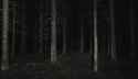 AnimateDiff_00122_thumb.jpg
