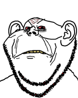 1748542255760g