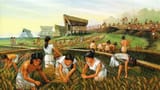 Neolithic-revolution-ancient-farmers