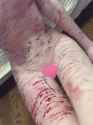 WanVideo_I2V_00019_thumb.jpg