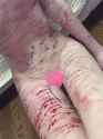 WanVideo_I2V_00025_thumb.jpg
