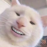 1596205904203