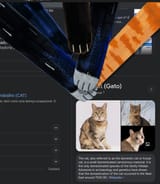 Screenshot From 2025-08-02 15-10-57