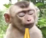 ksnip_20250801-230123