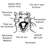 cat