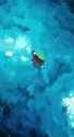 WanVideo2_2_I2V_00031_thumb.jpg