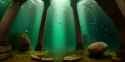 forest river columns fish_thumb.jpg