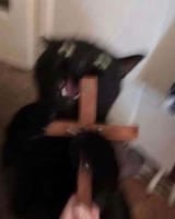 1729368364
