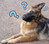 do