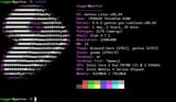 2025-08-04-021519_705x411_scrot