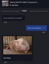 52