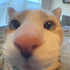 54e1937d-2355-4e6f-8912-3cce79b4d943-profile_image-70x70