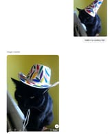 cowboy_hat