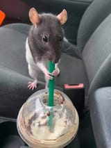 7236