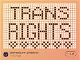 trans rights