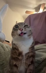 GvfKdhnWgAAmCbl