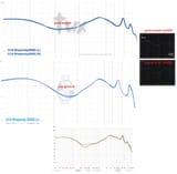 kz_revisions2