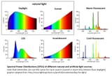 day-sun-and-sunset-vs-led-vs-florecent