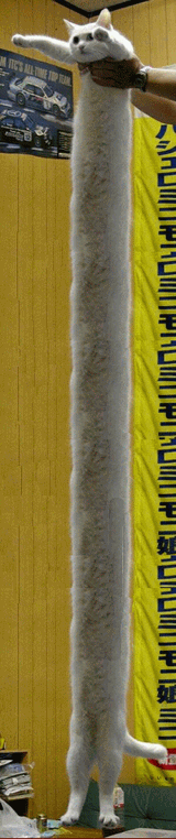 1 (31)